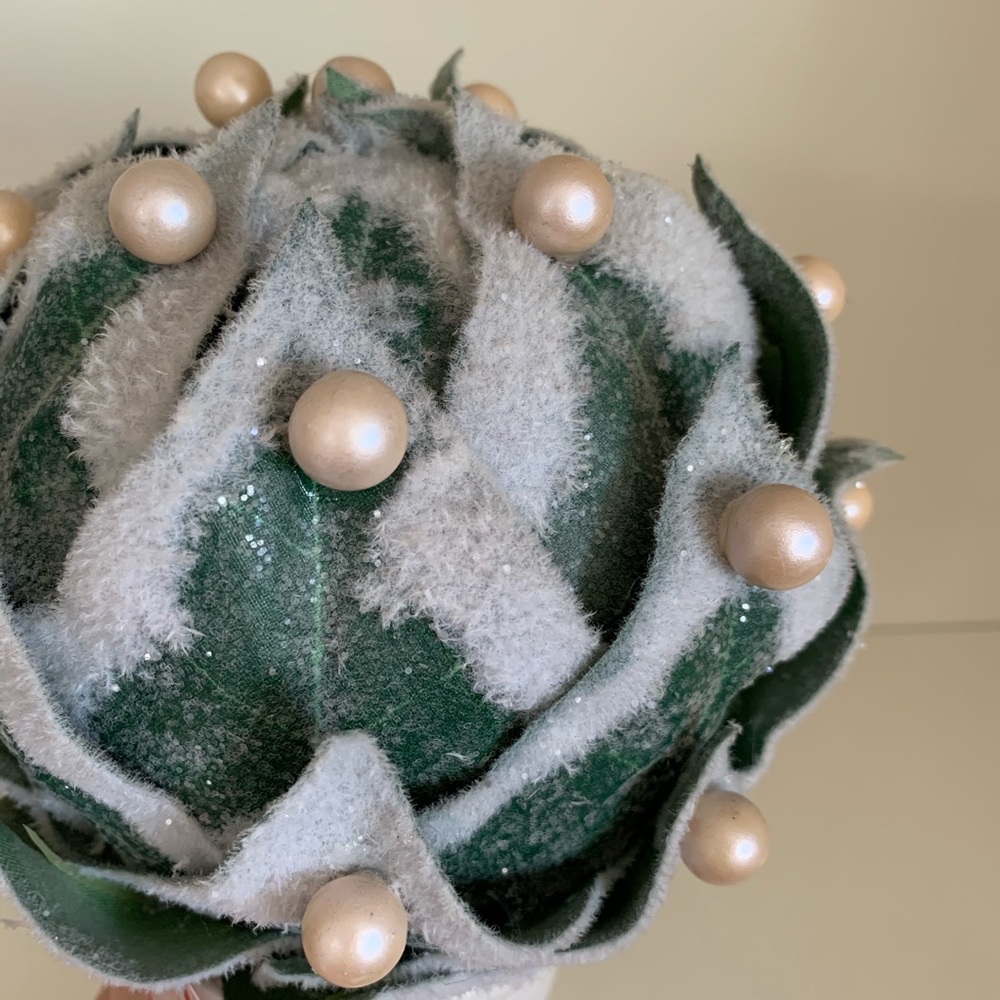 Pearl frosted fuzzy plant - Picture 6 of 8
